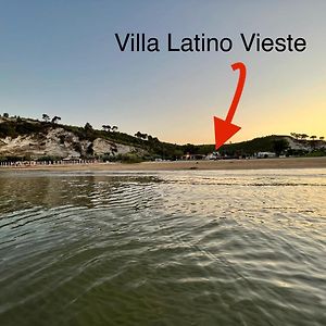 Villa Latino